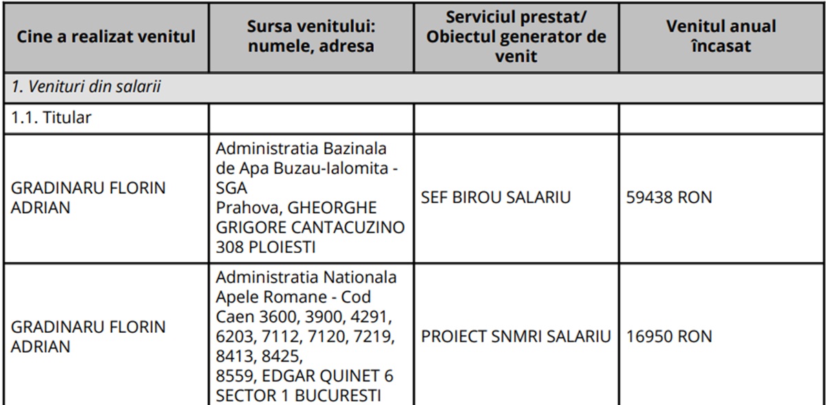 declaratie avere gradinaru