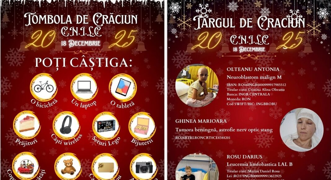targul de craciun cnilc 2025