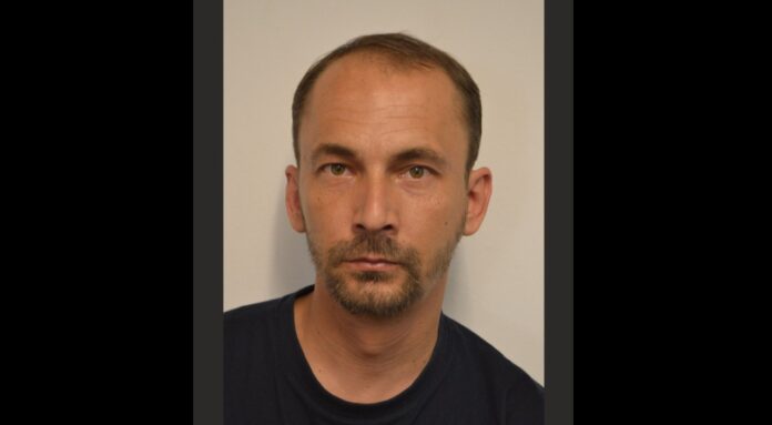 restaurator Andrei Gheorghievi