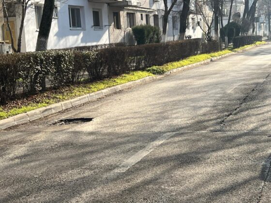 gropi ploiesti