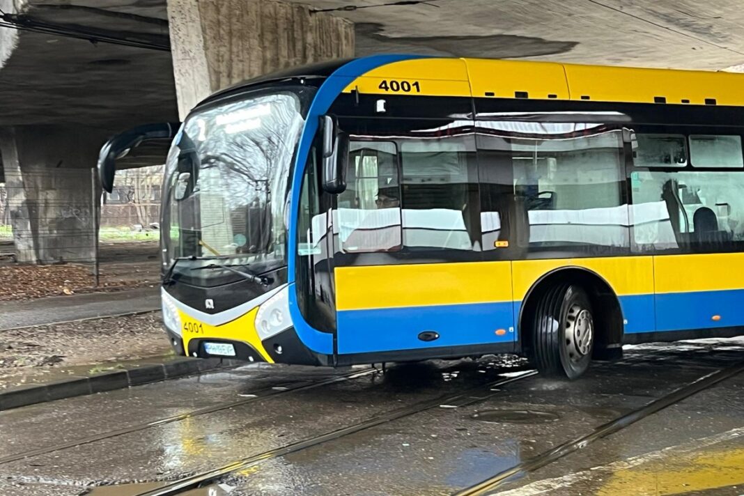 Ai voie să urci cu câinele în autobuzele TCE Ploiești? Răspunsul societății de transport