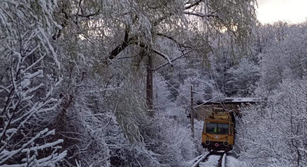 copac iarna tren