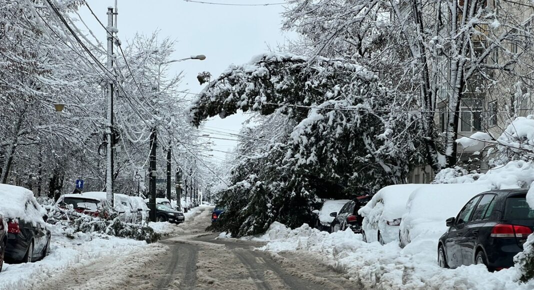 copac cazut peste masina ploiesti ninsoare