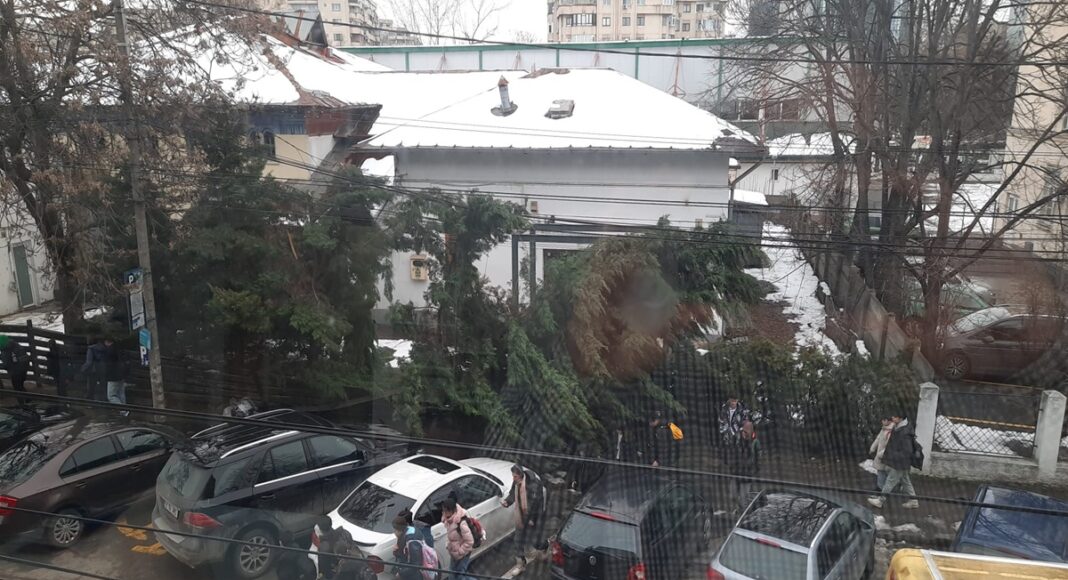 copac cazut trei ierarhi