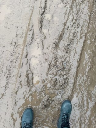 strada gandului ploiesti