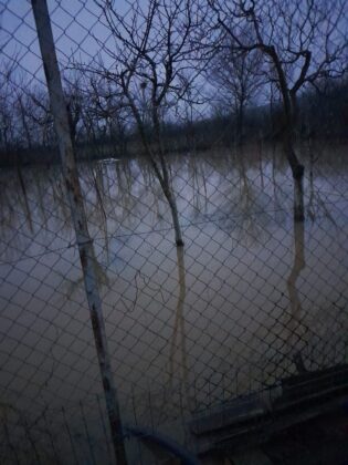 inundatii boldesti scaeni