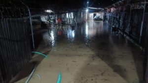 inundatii in tara vineri