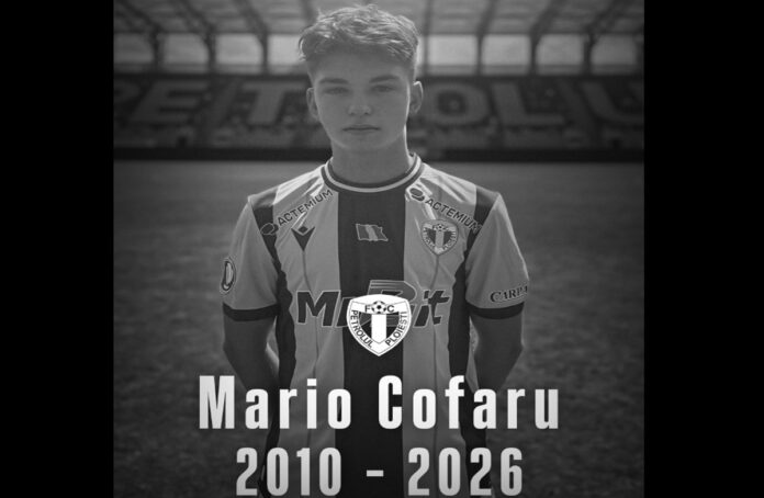 mario cofaru