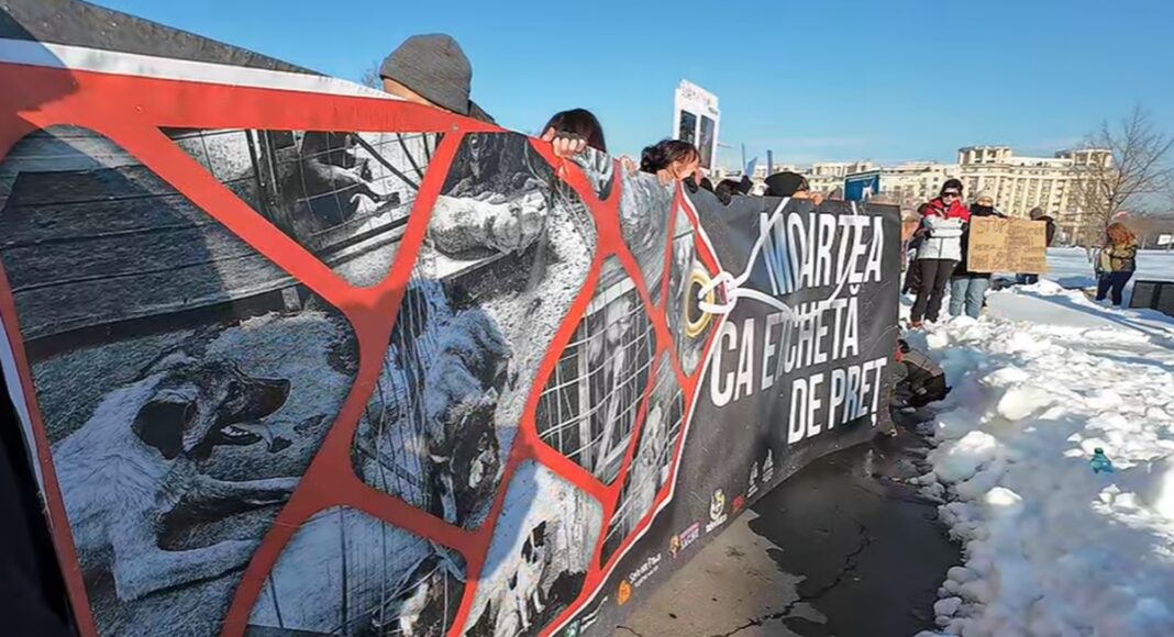 protest