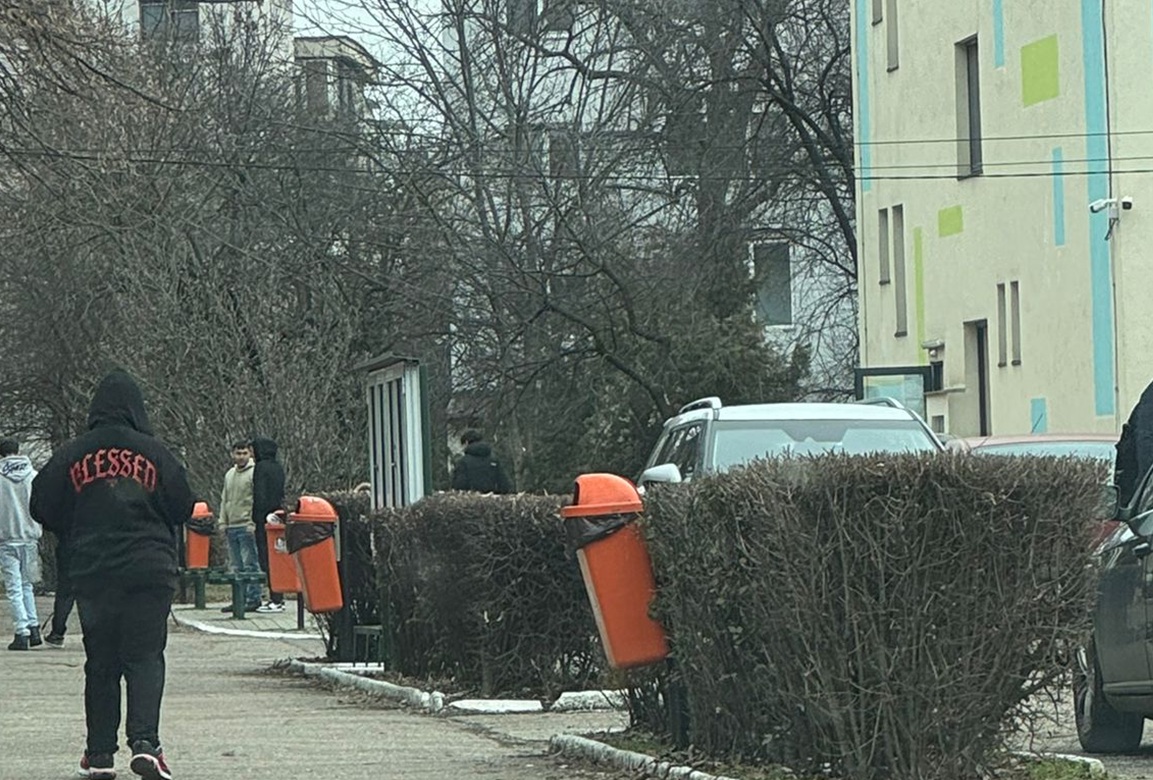 elevi retele sociale