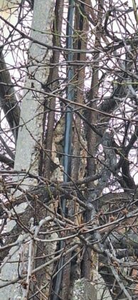 stalp electrica ploiesti paltinis