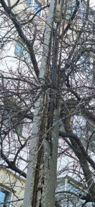 stalp electrica ploiesti paltinis