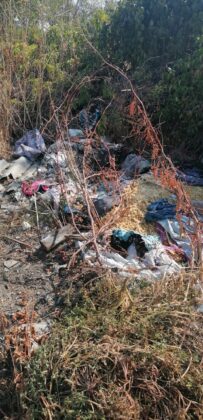 strada gandului ploiesti