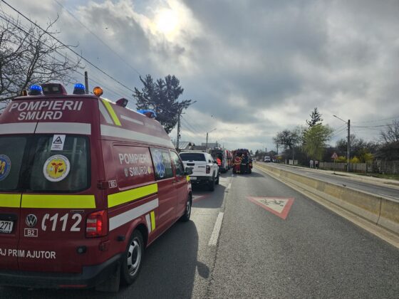 accident microbuz dambovita