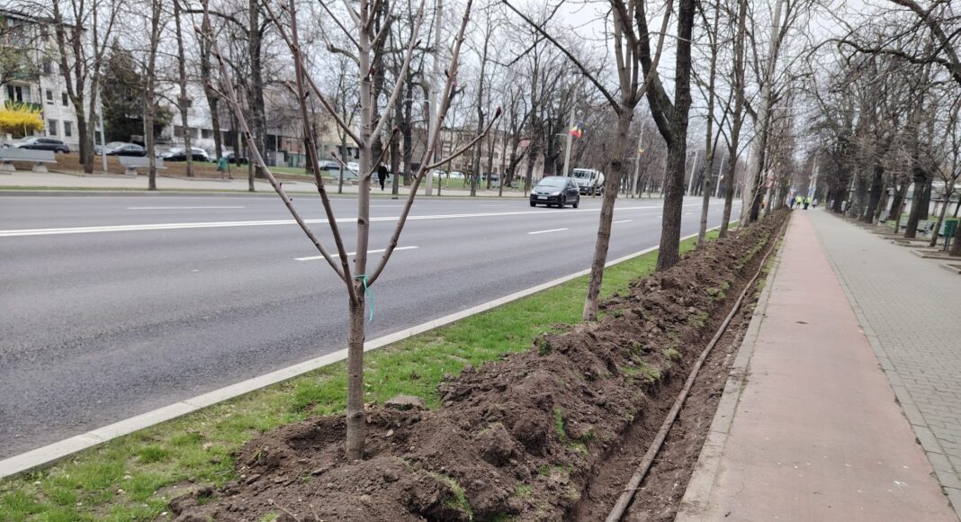 aspersie bulevardul castanilor ploiesti
