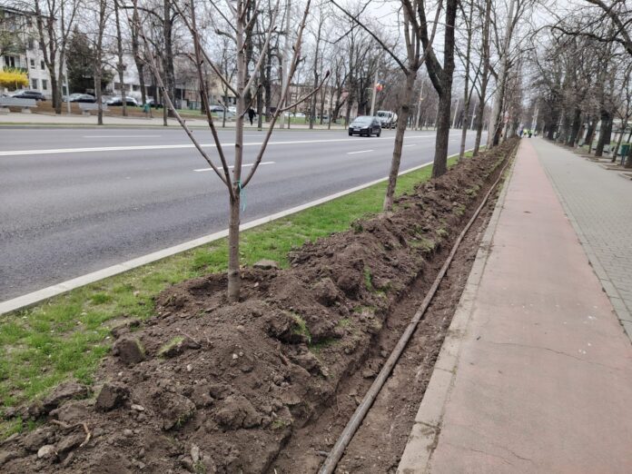 aspersie bulevardul castanilor ploiesti