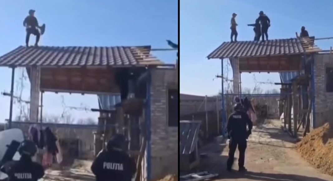 barbat Argeș luptatori SAS