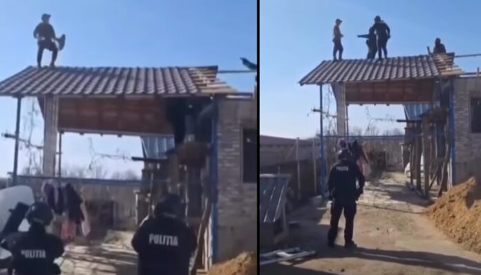 barbat Argeș luptatori SAS