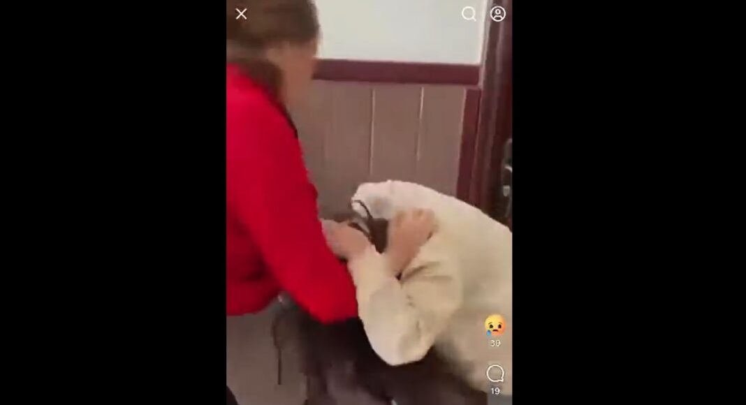 bataie eleva scoala colceag