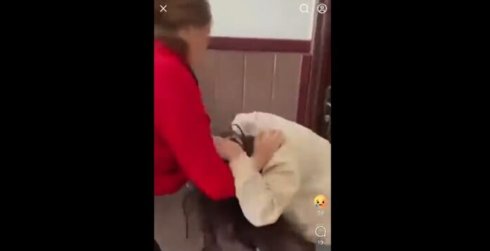 bataie eleva scoala colceag