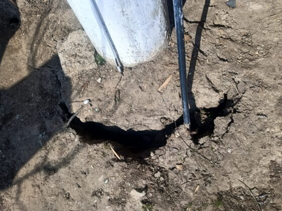 stalp albesti paleologu