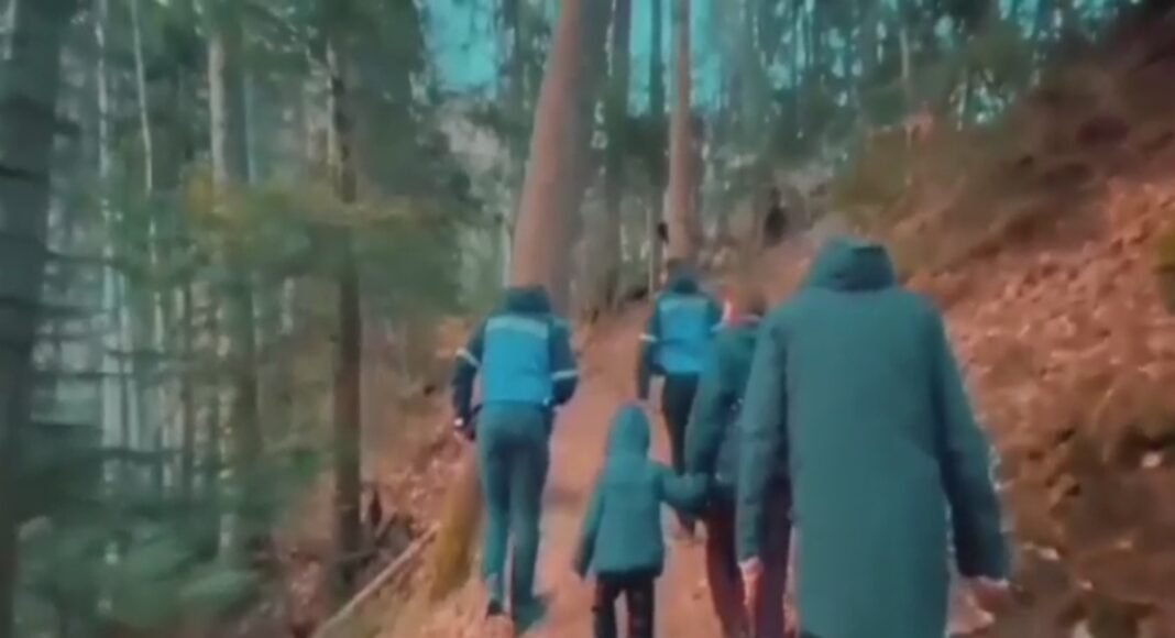 ursoaica pui sinaia