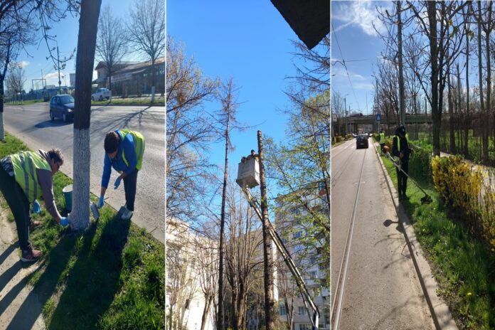 angajati sgu ploiesti