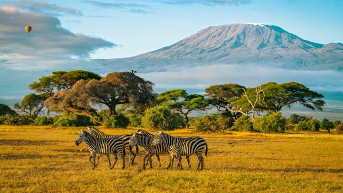 Oferte vacanțe Paralela45 - Kenya