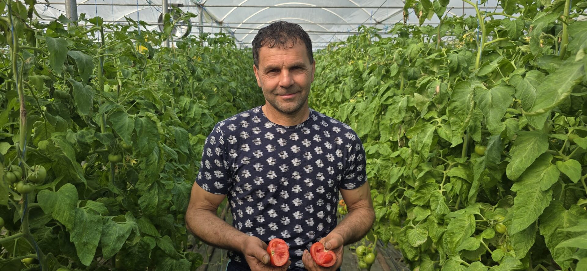 Daniel Matei, legumicultor Tomsani