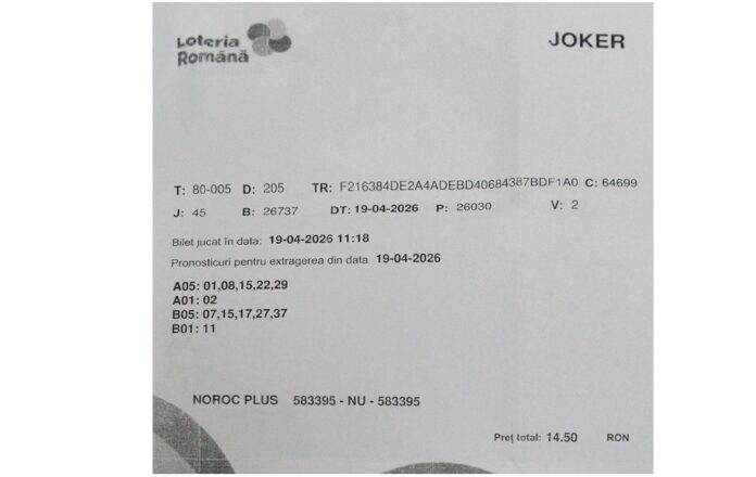 bilet castigator joker