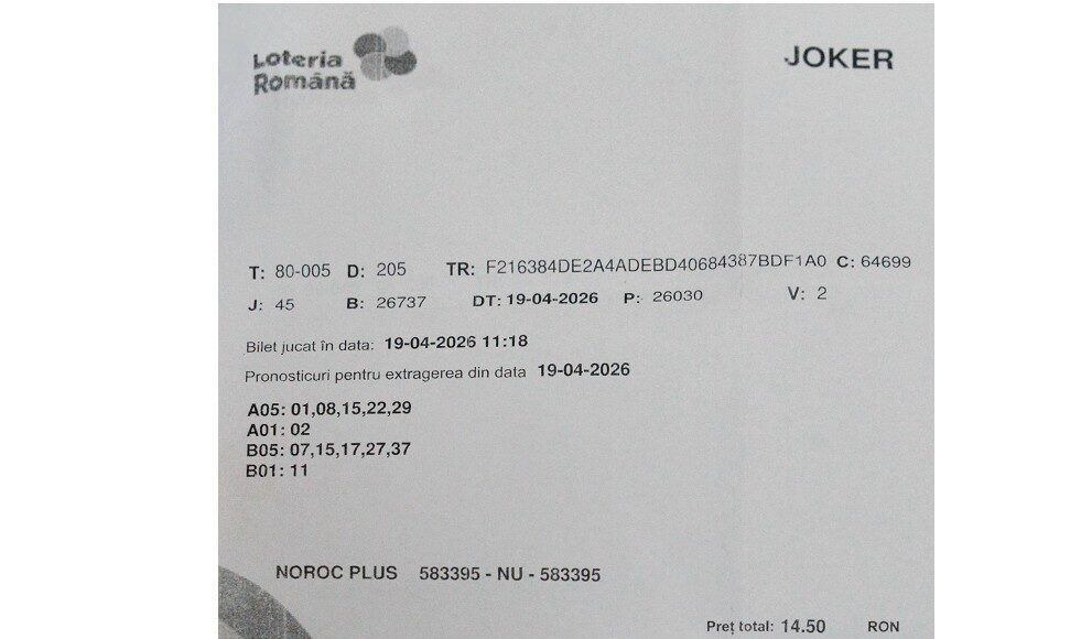 bilet castigator joker