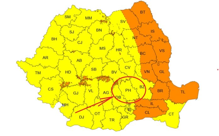 cod galben de vânt puternic