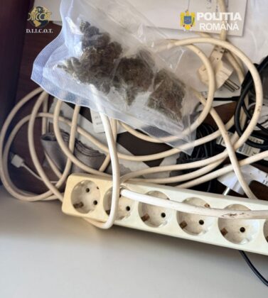 traficanti droguri ploiesti