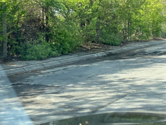 groapa strada depoului