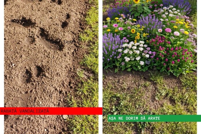 rabata vandalizata