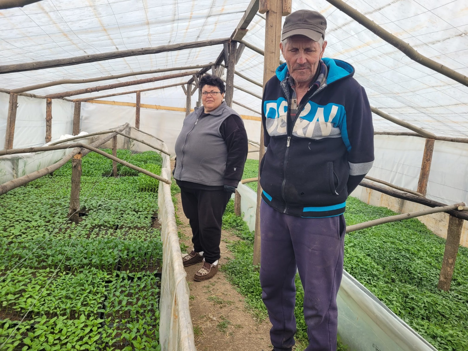 sotii stelian balta doamnei