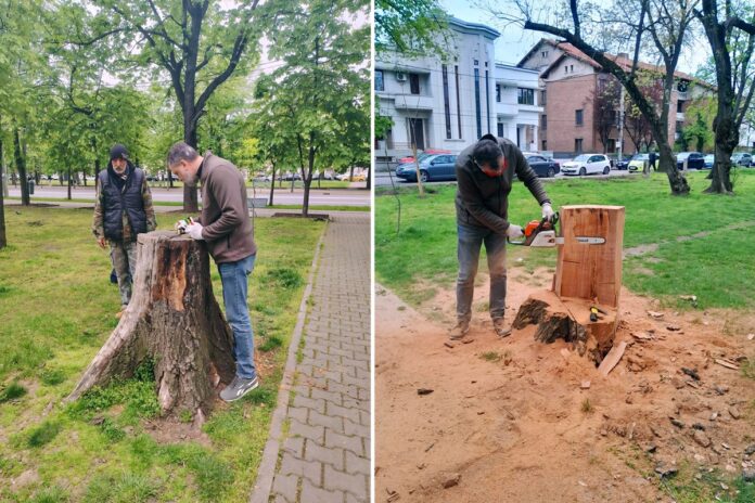 sculpturi trunchiuri