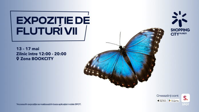 Expoziție Fluturi Vii