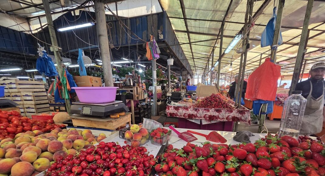 fructe taraba