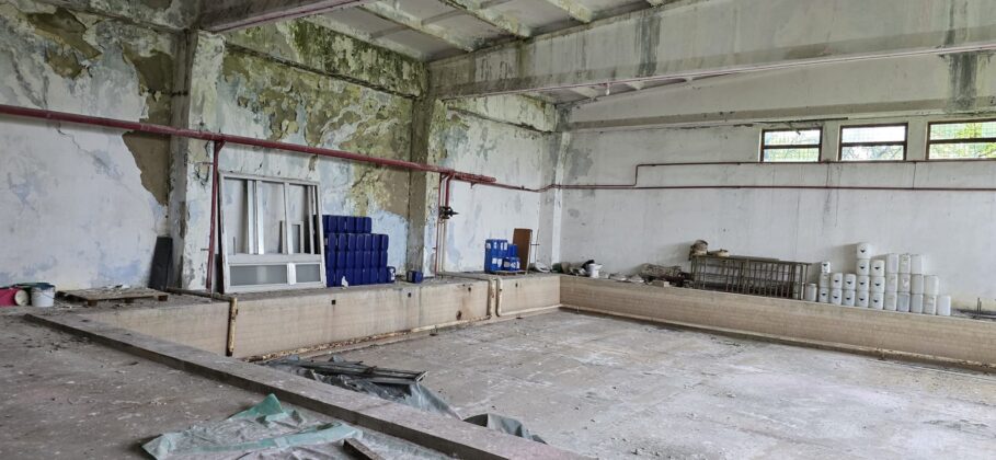 bazin vega ploiesti