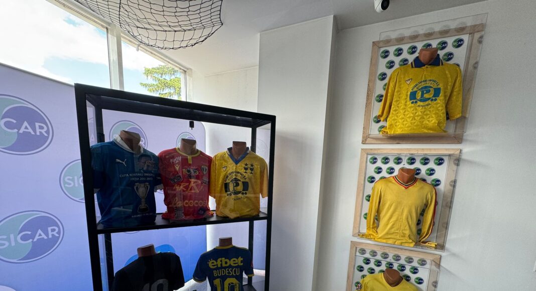sicar museum ploiesti ilie oana