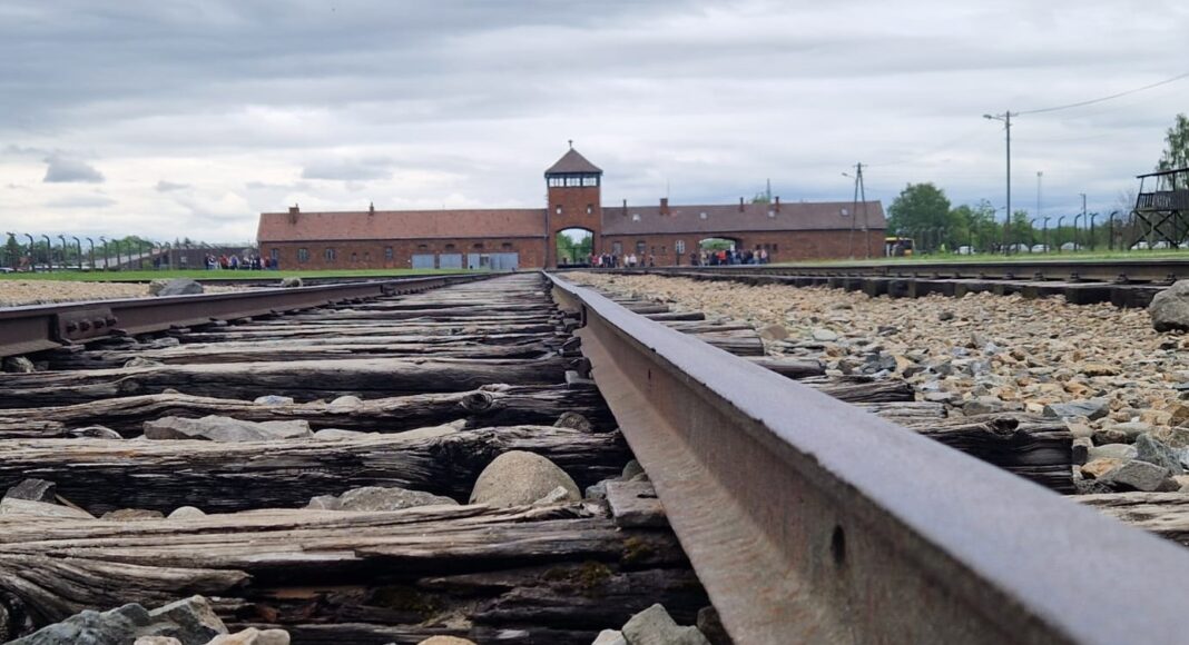 auschwitz birkenau
