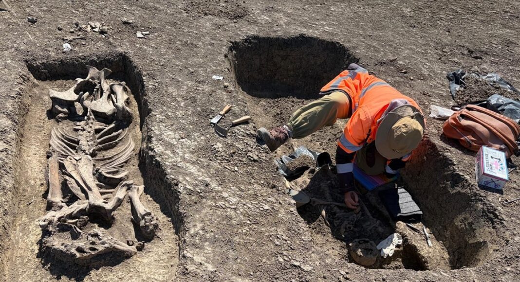 descoperire arheologică