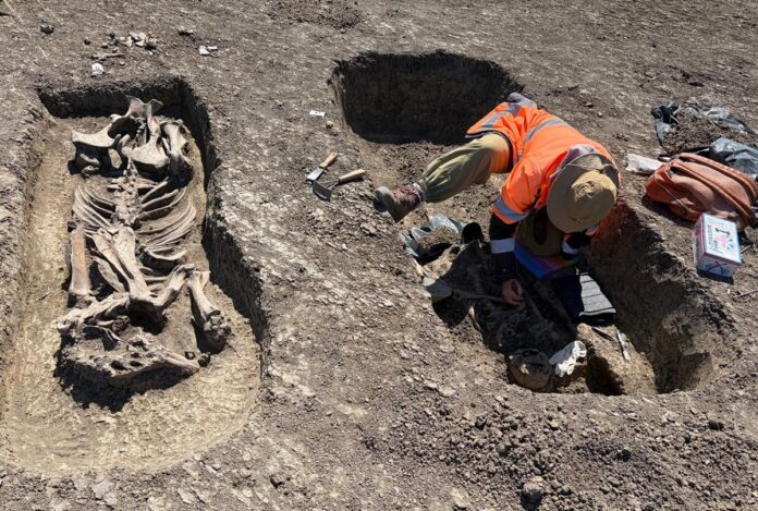 descoperire arheologică
