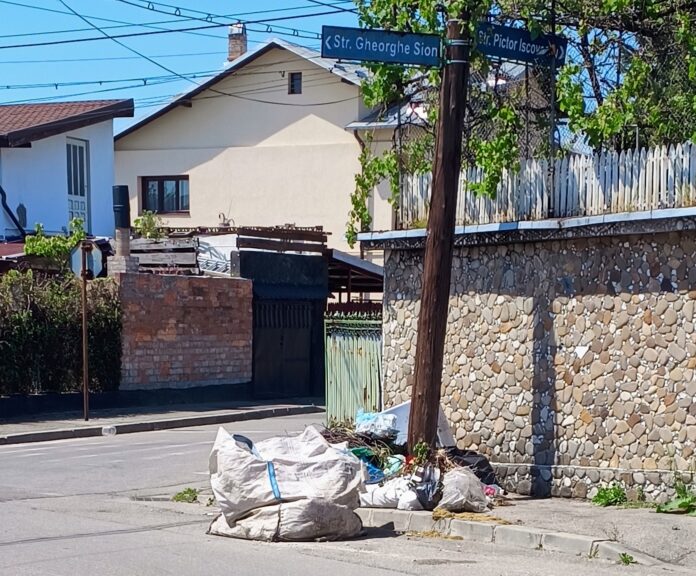 gunoi carosabil