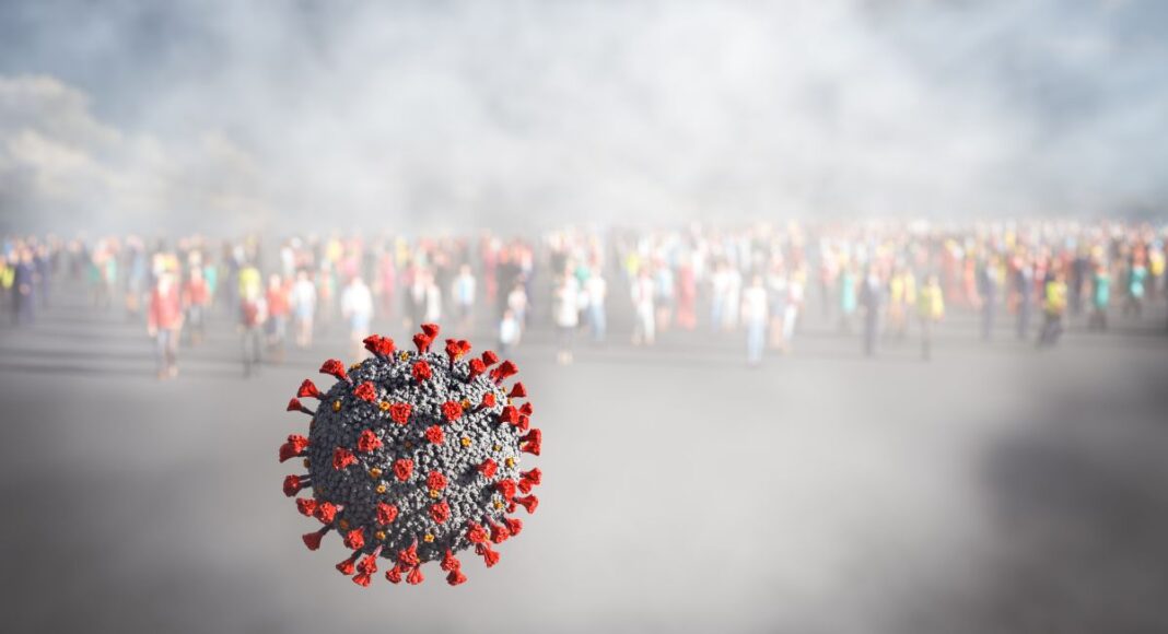 hanta virus