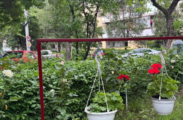 grădini bloc