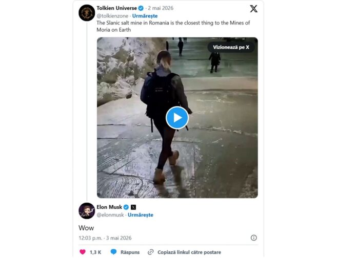 repostare elon musk