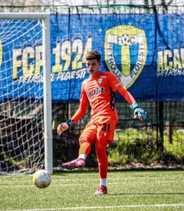radulescu petrolul