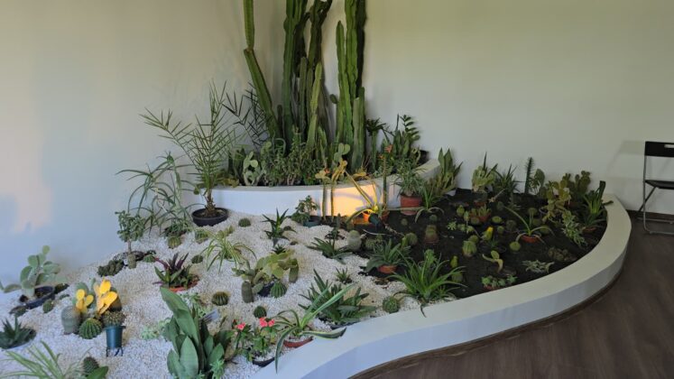 sera exotica ploiesti